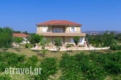 Aggelina’s Apartments in Platanias, Chania, Crete