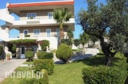 Villa Olive Grove in Georgioupoli, Chania, Crete