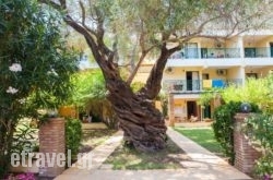 Barbati Beach Apartments in Sfakia, Chania, Crete