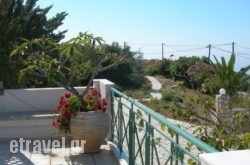 Villa Petri in Sfakia, Chania, Crete
