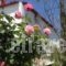 Saint Louis_travel_packages_in_Cyclades Islands_Andros_Andros City