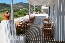 Hotel Filoxenia in Malia, Heraklion, Crete
