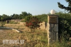 Villa Rania / Zante Drosia in Kissamos, Chania, Crete