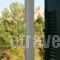 Saint Louis_lowest prices_in_Hotel_Cyclades Islands_Andros_Andros City
